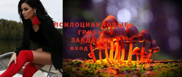 мдпв Осинники