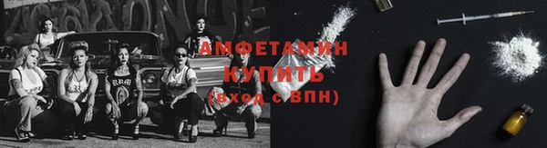 мдпв Осинники