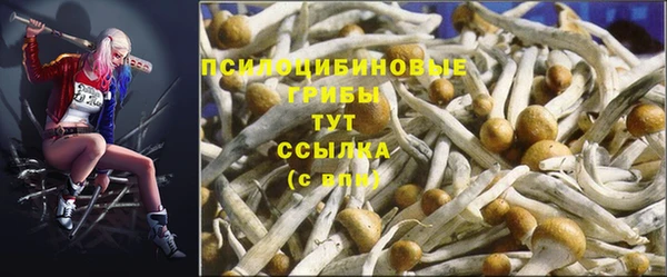 мдпв Осинники