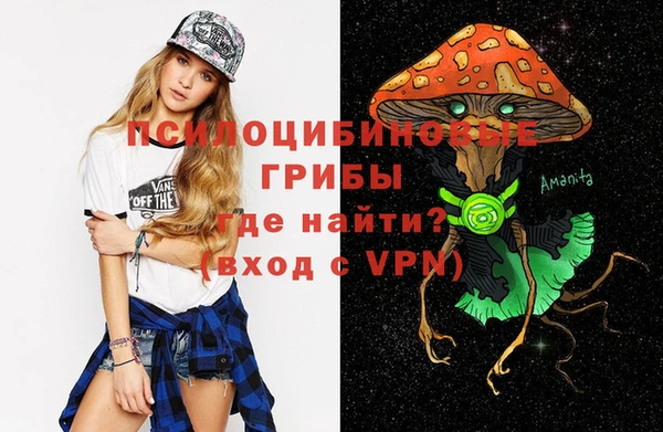 спиды Аркадак