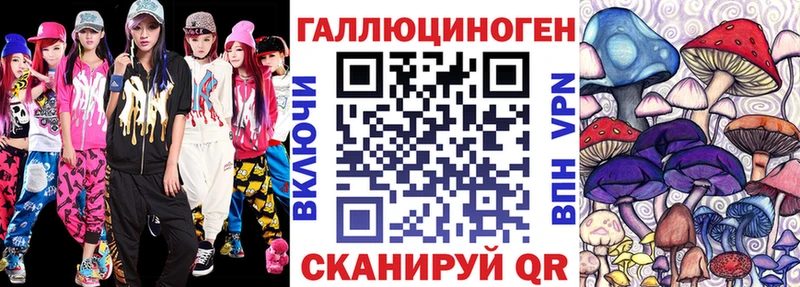 Псилоцибиновые грибы Cubensis  что такое   Терек 